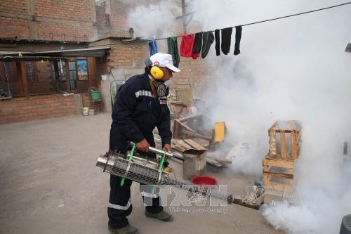 越南各国际口岸加强寨卡病毒防控工作 ảnh 1 越南各国际口岸加强寨卡病毒防控工作 ảnh 1