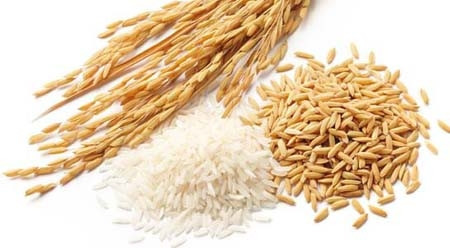 2016年越南大米出口喜忧并存 ảnh 1