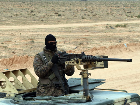 马来西亚与澳大利亚同意共享反恐情报信息 ảnh 1