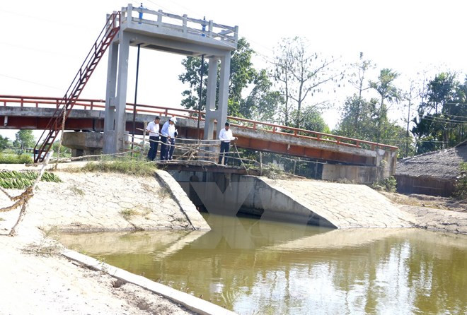 越南后江省全力做好旱灾和海水入侵防控工作 ảnh 1 越南后江省全力做好旱灾和海水入侵防控工作 ảnh 1