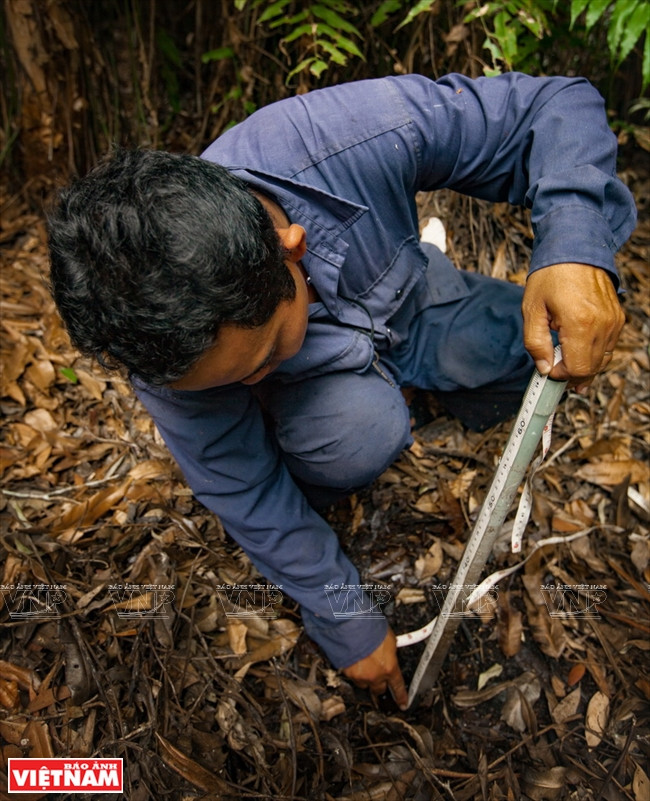 九龙江平原挺身抗旱抗碱 ảnh 15 九龙江平原挺身抗旱抗碱 ảnh 15