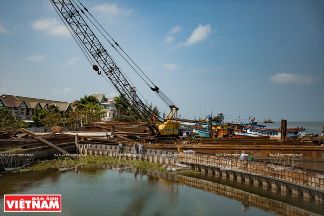 九龙江平原挺身抗旱抗碱 ảnh 13 九龙江平原挺身抗旱抗碱 ảnh 13