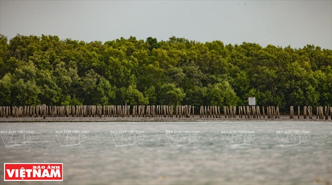 九龙江平原挺身抗旱抗碱 ảnh 14 九龙江平原挺身抗旱抗碱 ảnh 14