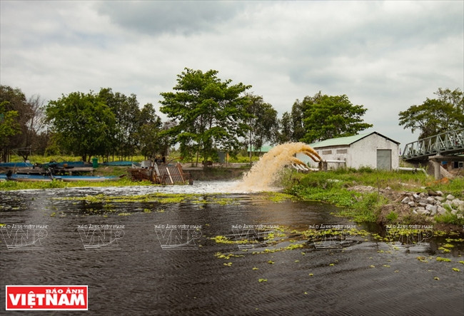 九龙江平原挺身抗旱抗碱 ảnh 17 九龙江平原挺身抗旱抗碱 ảnh 17