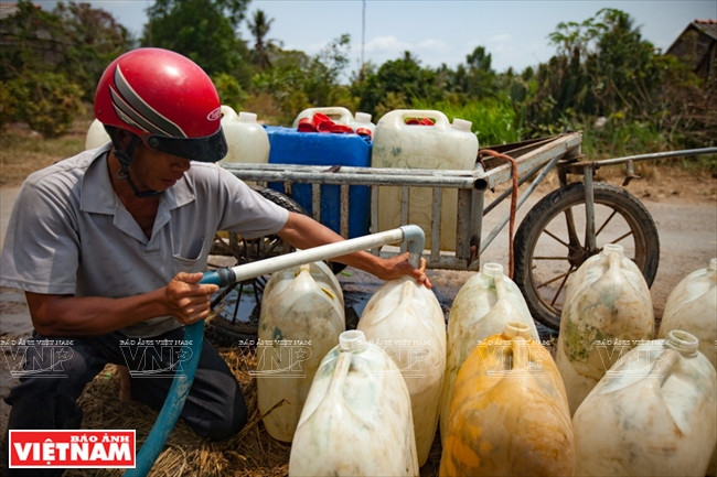 九龙江平原挺身抗旱抗碱 ảnh 10 九龙江平原挺身抗旱抗碱 ảnh 10