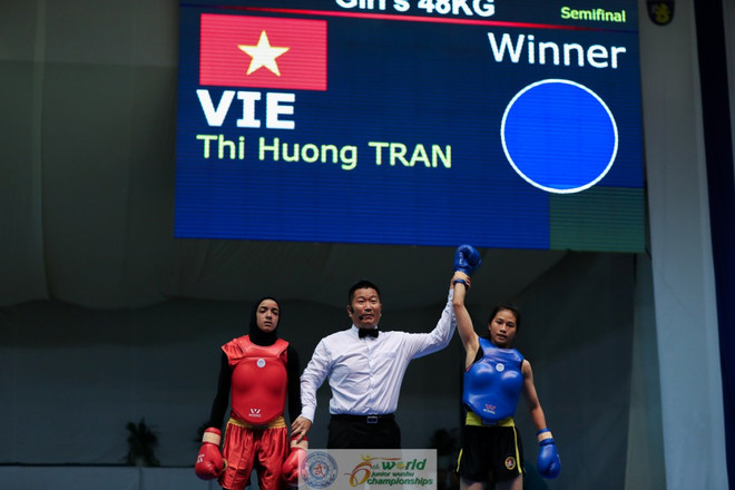 越南队在2016世界青少年武术锦标赛中夺得5枚金牌 ảnh 1