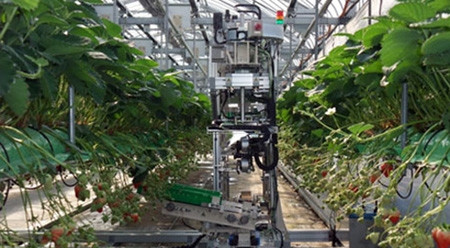 日本投资资金涌入越南农林水产业 ảnh 1 日本投资资金涌入越南农林水产业 ảnh 1