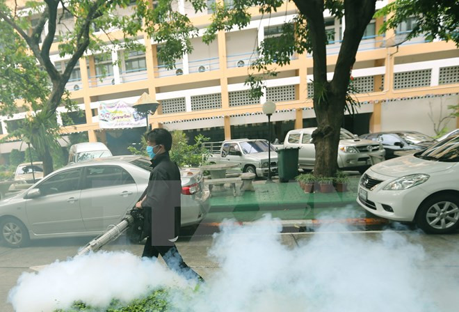 泰国官员称寨卡病毒对该国旅游业影响不大 ảnh 1 泰国官员称寨卡病毒对该国旅游业影响不大 ảnh 1