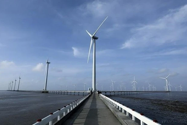 绿色增长：坚决对造成污染的项目说“不” ảnh 2