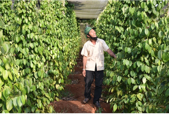 绿色增长：坚决对造成污染的项目说“不” ảnh 3