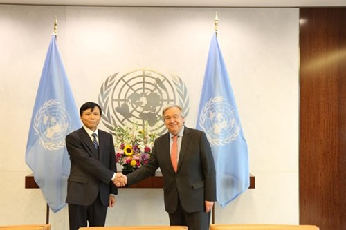 外交有助于维护国际安全和和平稳定环境 ảnh 1 外交有助于维护国际安全和和平稳定环境 ảnh 1