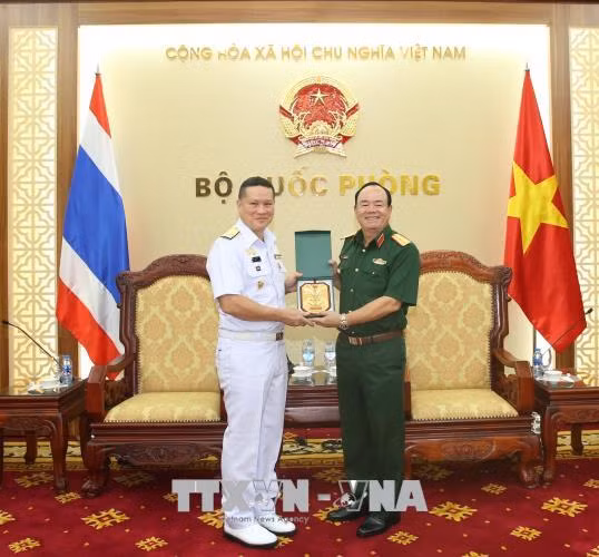 越泰两国海军促进合作 ảnh 2