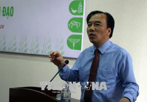 越南各个宗教在环保和人道救助方面起着重要作用 ảnh 2 越南各个宗教在环保和人道救助方面起着重要作用 ảnh 2