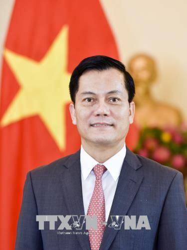 越南驻美国大使何金玉：维持越美全面伙伴关系蓬勃发展态势 ảnh 1