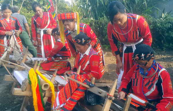巴天族妇女服装上的精致花纹 ảnh 1