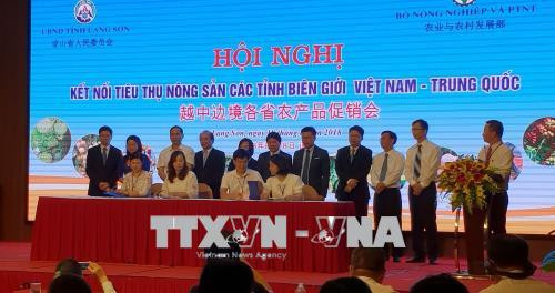 越中边境各省农产品促销会在谅山省举行 ảnh 2
