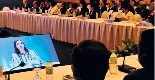 亚太经合组织反恐工作小组第六次会议在菲律宾举行 ảnh 1 亚太经合组织反恐工作小组第六次会议在菲律宾举行 ảnh 1