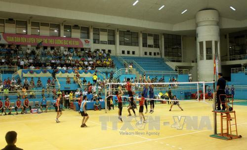 2015年亚洲女排俱乐部锦标赛落户河南省 ảnh 1