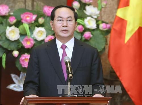 越南国家主席陈大光：继续坚定未来的发展道路 ảnh 1