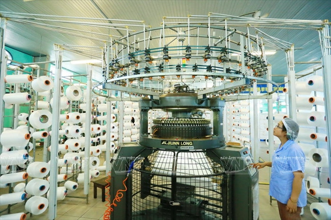 顺化纺织服装跻身国际大舞台 ảnh 3