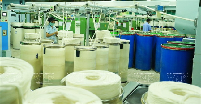 顺化纺织服装跻身国际大舞台 ảnh 2