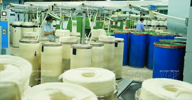 顺化纺织服装跻身国际大舞台 ảnh 2