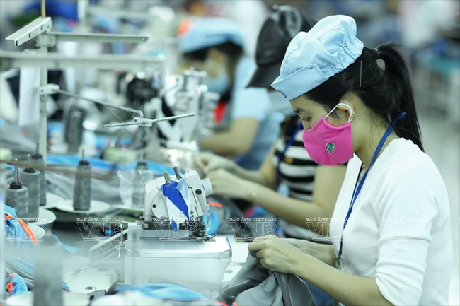 顺化纺织服装跻身国际大舞台 ảnh 5