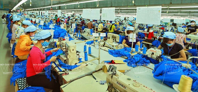 顺化纺织服装跻身国际大舞台 ảnh 6