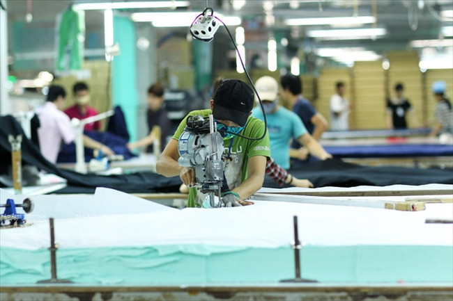 顺化纺织服装跻身国际大舞台 ảnh 4