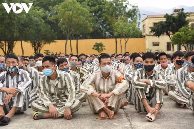 特赦体现了越南人道主义政策的优越性 ảnh 1