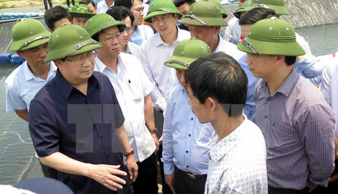 越南政府副总理郑廷勇莅临广平、广治两省考察鱼类死亡现象 ảnh 1 越南政府副总理郑廷勇莅临广平、广治两省考察鱼类死亡现象 ảnh 1