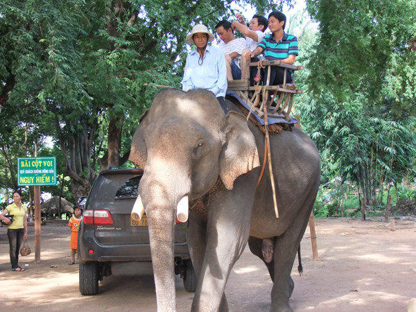 保护大象宣传周在广南省举行 ảnh 1
