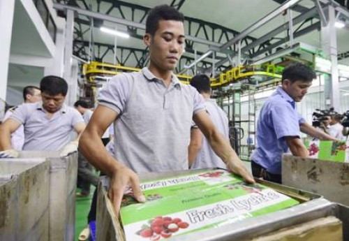 越南蔬果出口机会众多 ảnh 1 越南蔬果出口机会众多 ảnh 1