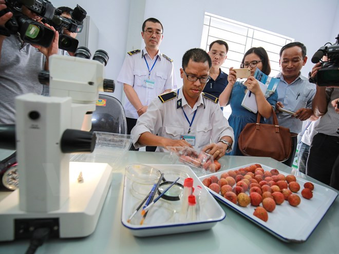 越南驻澳大利亚大使：越南应改变农业生产习惯 满足高端市场的要求 ảnh 1