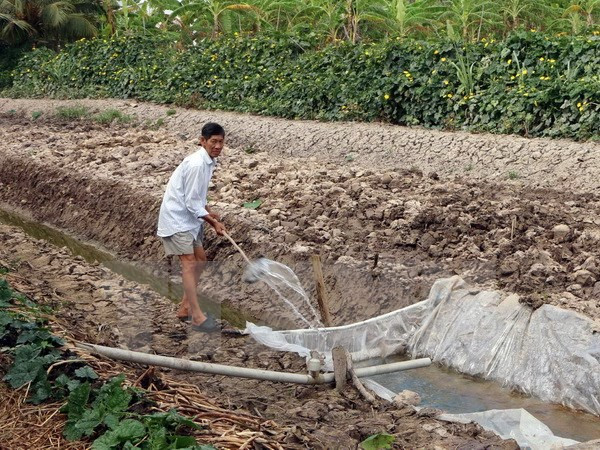 庆和省加大海岸侵蚀防治工作力度 ảnh 1 庆和省加大海岸侵蚀防治工作力度 ảnh 1