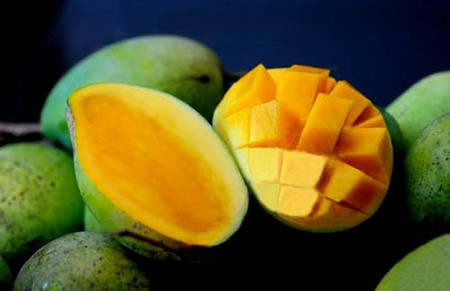 山萝省农民维护和发展安州芒果品牌 ảnh 1