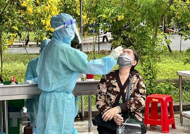 1月28日越南新增确诊病例有所下降 4633例治愈出院 ảnh 1 1月28日越南新增确诊病例有所下降 4633例治愈出院 ảnh 1