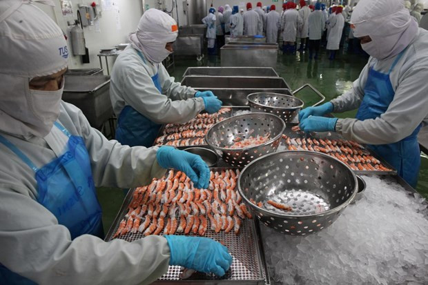 2022年泰国粮食出口有望增长8.4% ảnh 1 2022年泰国粮食出口有望增长8.4% ảnh 1