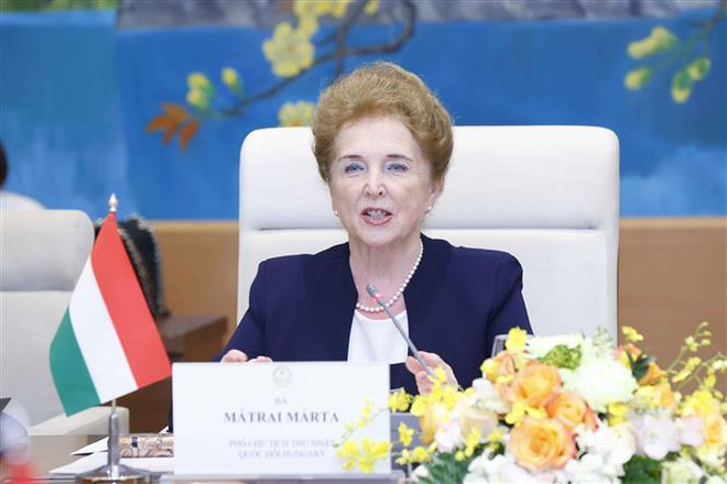 推动越匈两国国会合作关系深入有效发展 ảnh 3 推动越匈两国国会合作关系深入有效发展 ảnh 3