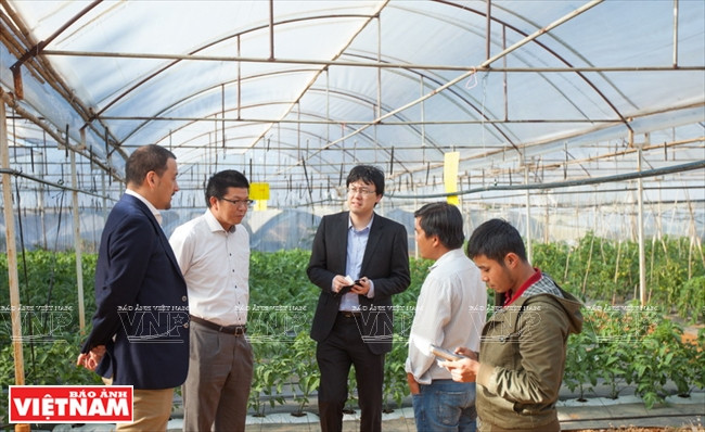 大叻蔬菜与花卉王国 ảnh 9