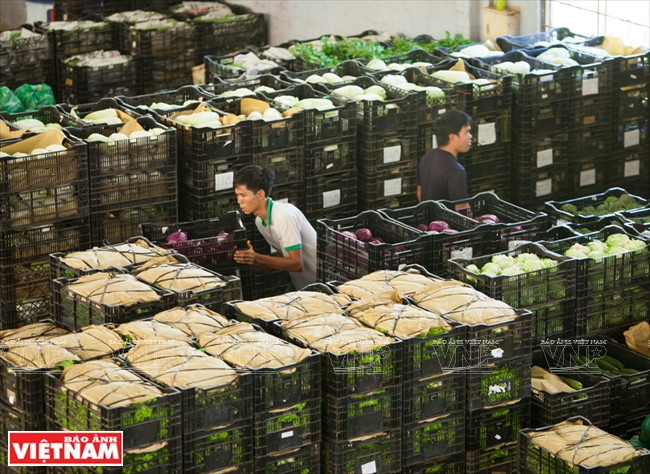 大叻蔬菜与花卉王国 ảnh 14