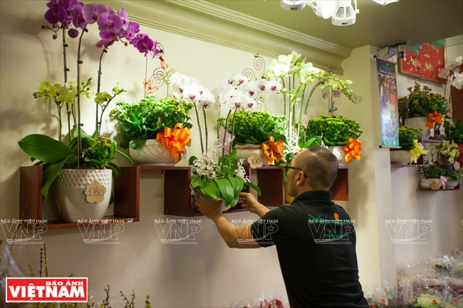 大叻蔬菜与花卉王国 ảnh 22