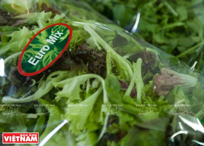 大叻蔬菜与花卉王国 ảnh 17