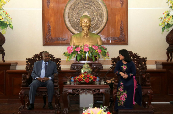 芹苴市愿与莫桑比克加强农业合作 ảnh 1