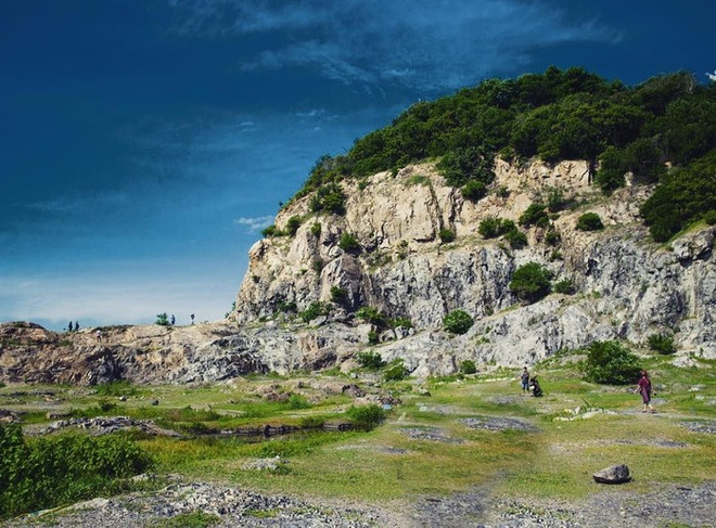 头顿市“小猪山丘”吸引年轻人的眼球 ảnh 1 头顿市“小猪山丘”吸引年轻人的眼球 ảnh 1