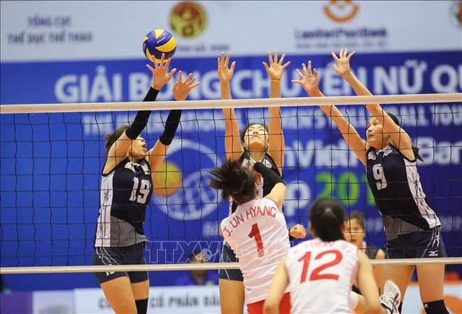 朝鲜女排出色获得2019年越南联越邮政银行女排锦标赛冠军 ảnh 1