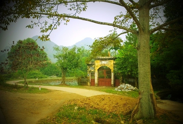 探访历史文化底蕴深厚的越南东山古村 ảnh 1 探访历史文化底蕴深厚的越南东山古村 ảnh 1