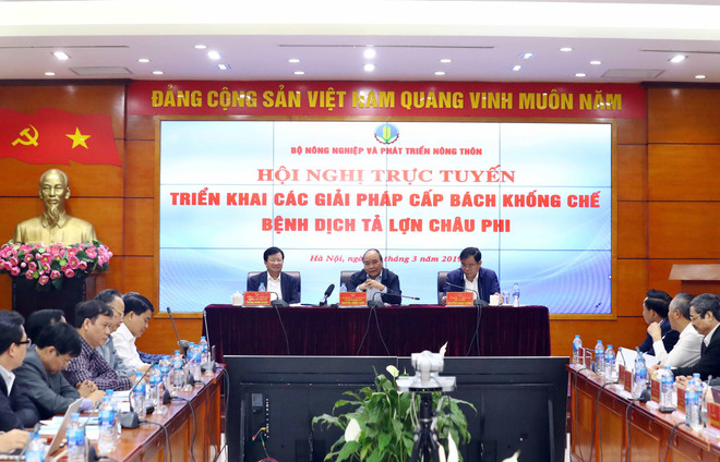 政府总理:各地方领导须对防控非洲猪瘟工作情况承担最终责任 ảnh 2 政府总理:各地方领导须对防控非洲猪瘟工作情况承担最终责任 ảnh 2