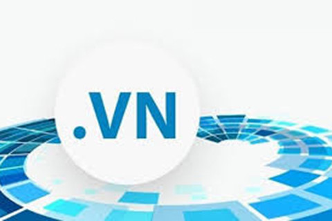 “.vn”成为东南亚注册比率最高的国家域名 ảnh 1