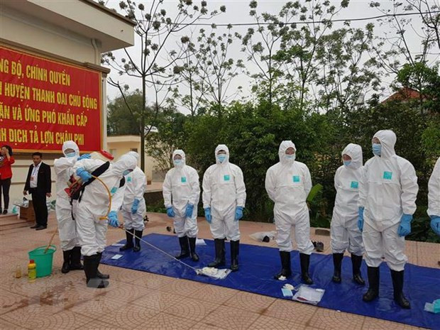 越南各地集中防范非洲猪瘟疫情的传播和蔓延 ảnh 1 越南各地集中防范非洲猪瘟疫情的传播和蔓延 ảnh 1